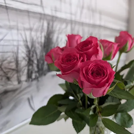 App-backbord-whg-16 Appartement