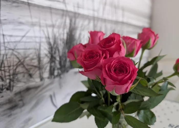 App-backbord-whg-16 Appartement