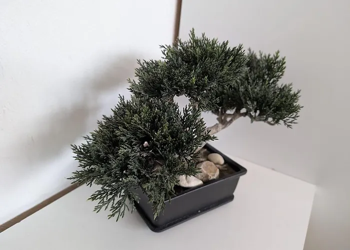 App-backbord-whg-16 Appartement Westerland